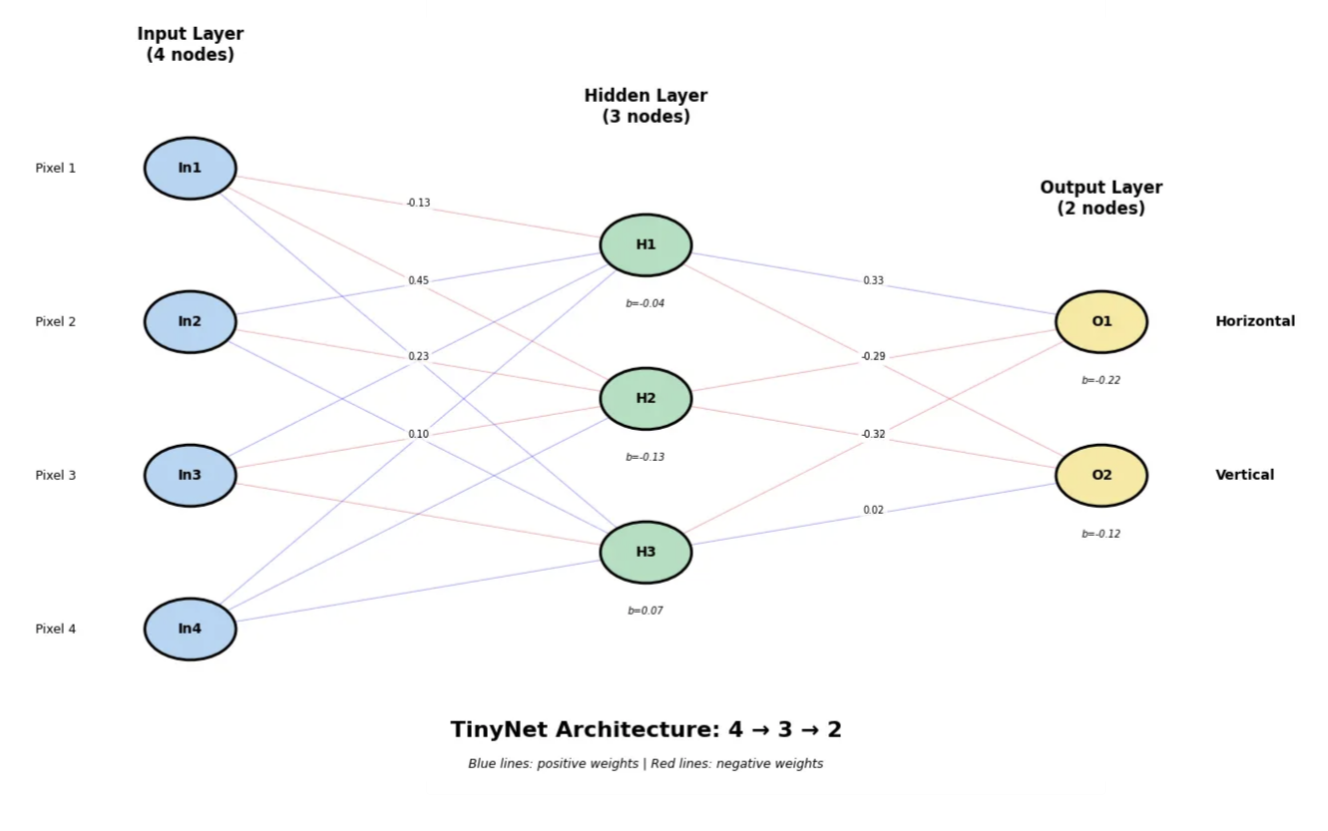 TinyNet Architecture